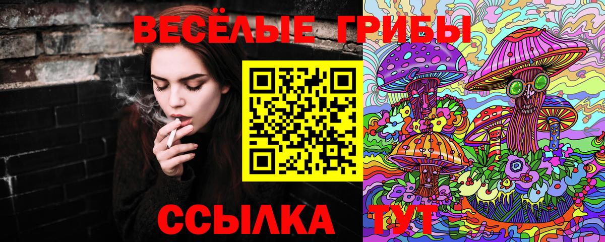 Псилоцибиновые грибы Psilocybine cubensis  Вход с VPN  Оренбург 